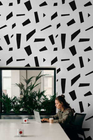 Wallpaper N°127 modern black and white shapes open spac